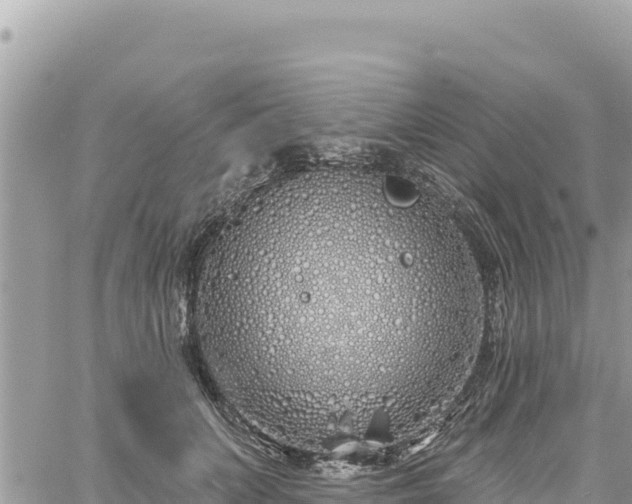 X0000060760703200511171148