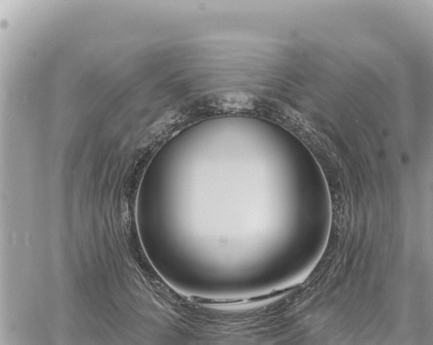 X0000060760704200511171148