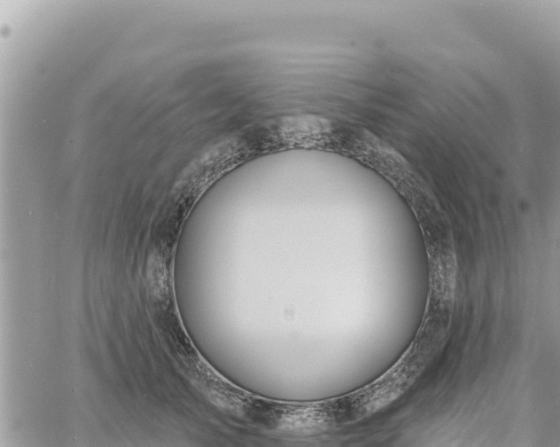 X0000060760705200511171148