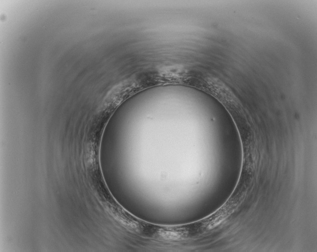 X0000060760706200511171148