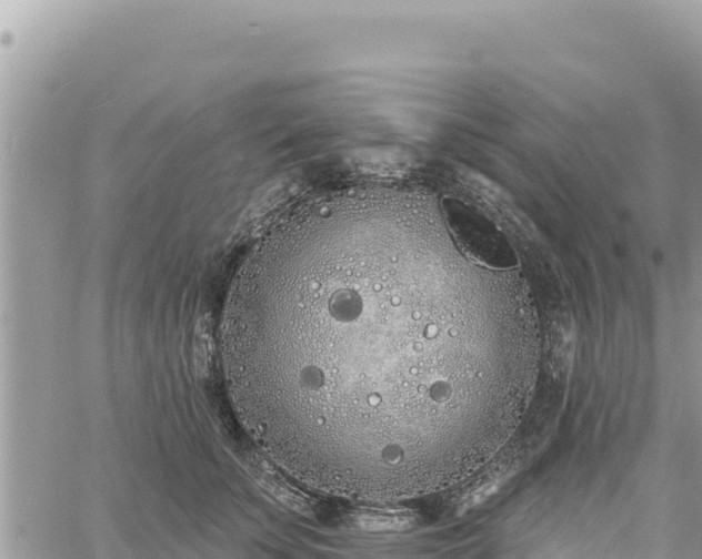 X0000060760707200511171148