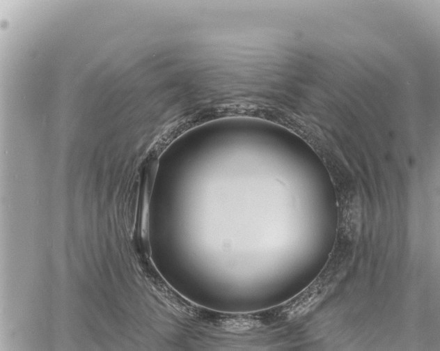 X0000060760708200511171148