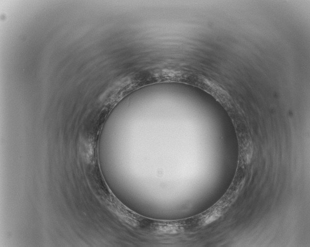 X0000060760709200511171148