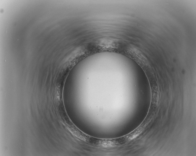 X0000060760710200511171148