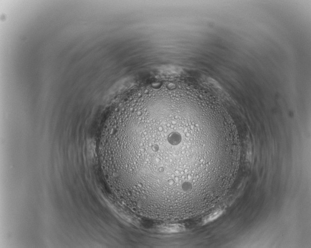 X0000060760711200511171148