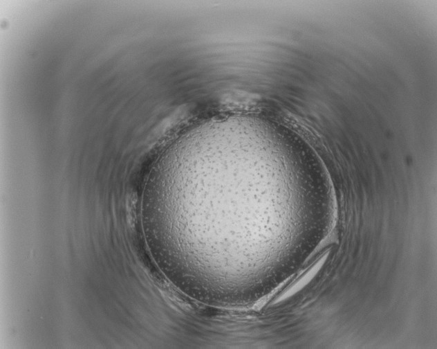 X0000060760712200511171148