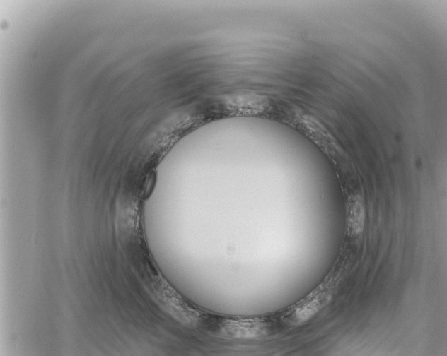 X0000060760713200511171148