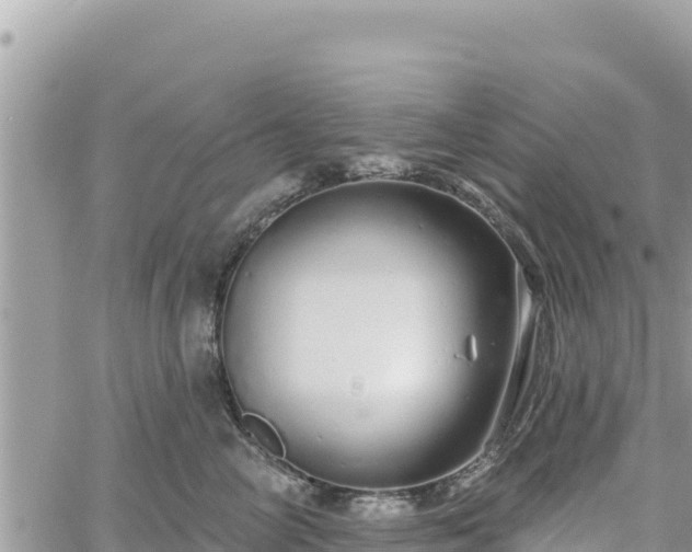 X0000060760714200511171148