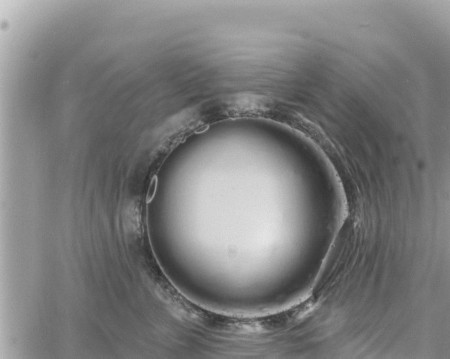 X0000060760715200511171148