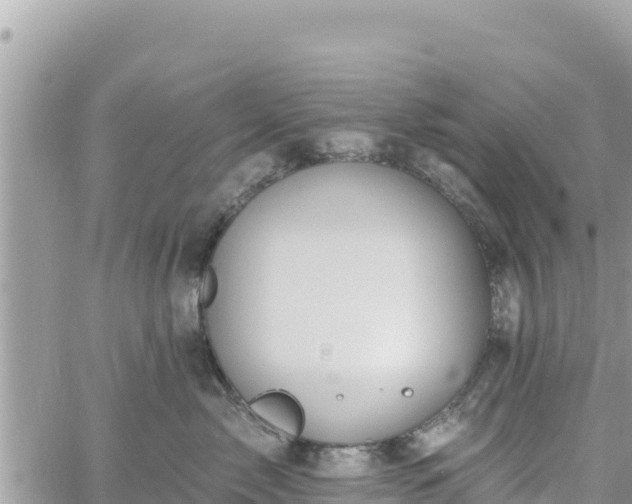 X0000060760717200511171148