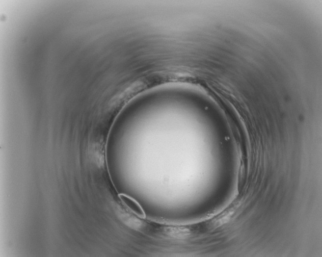 X0000060760719200511171148