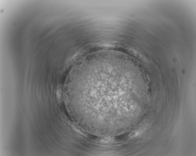 X0000060760720200511171148