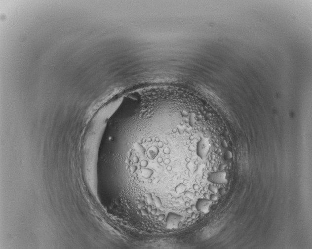 X0000060760721200511171147