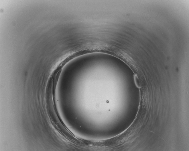 X0000060760722200511171147