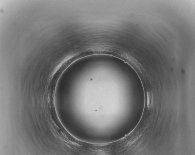 X0000060760723200511171147