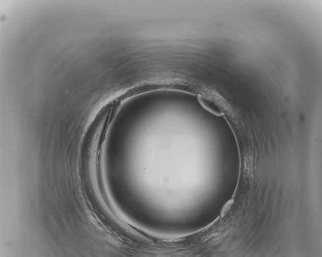 X0000060760724200511171147