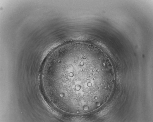 X0000060760725200511171147