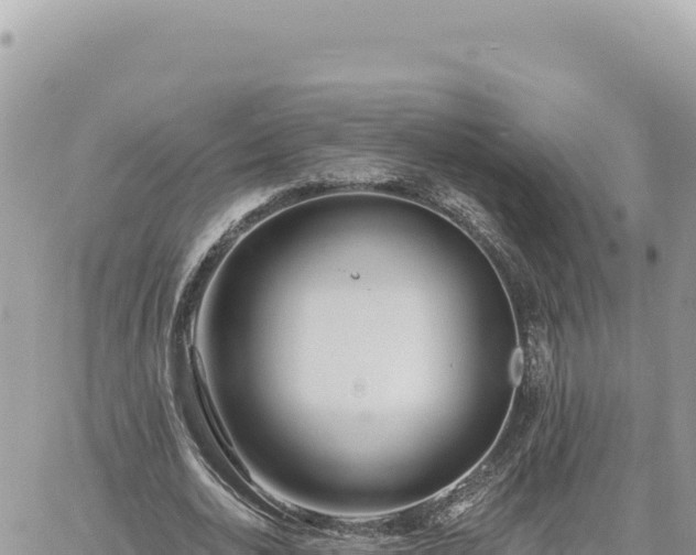 X0000060760726200511171147