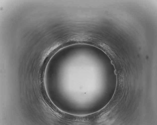 X0000060760727200511171147