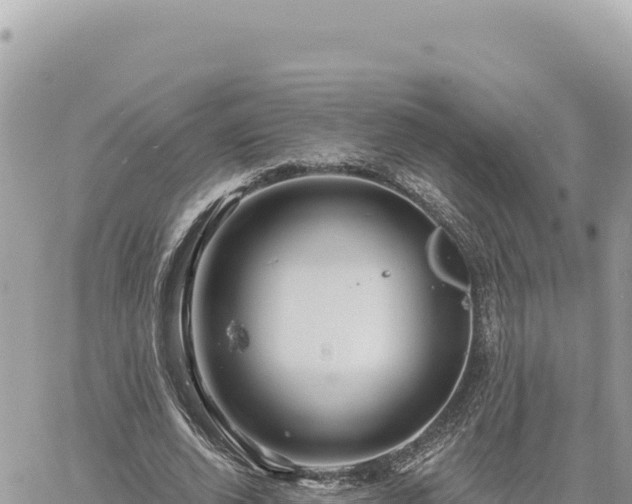 X0000060760728200511171147