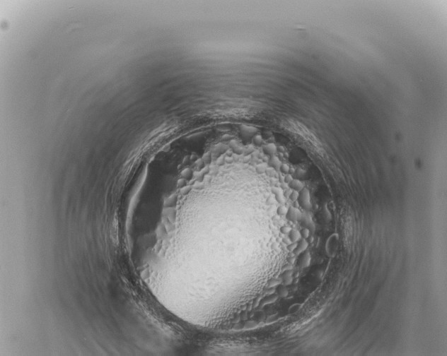 X0000060760729200511171147