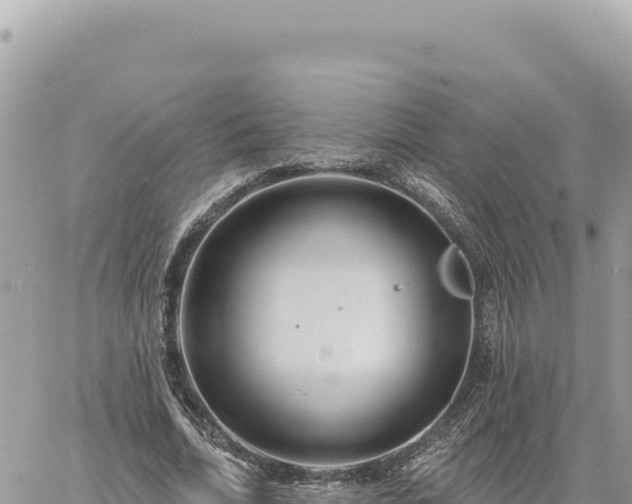 X0000060760730200511171147