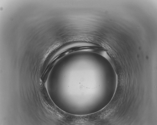 X0000060760731200511171147