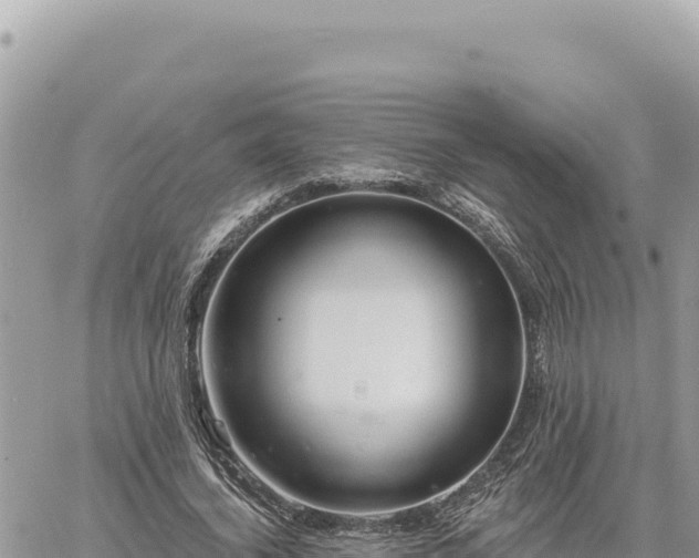 X0000060760732200511171147