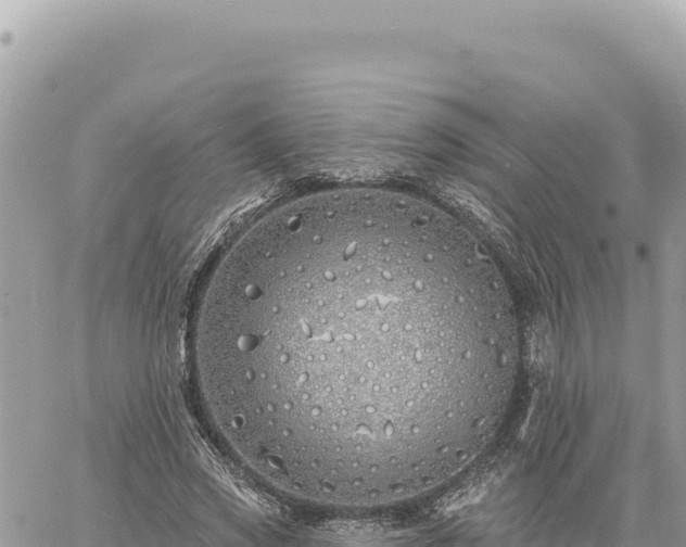 X0000060760733200511171147