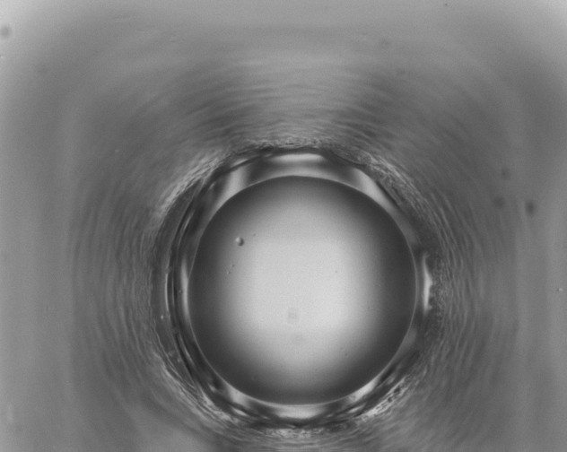 X0000060760735200511171147