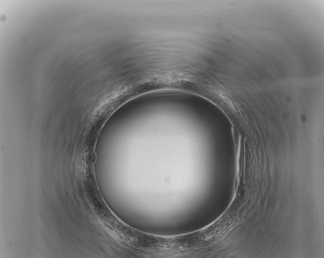 X0000060760736200511171147