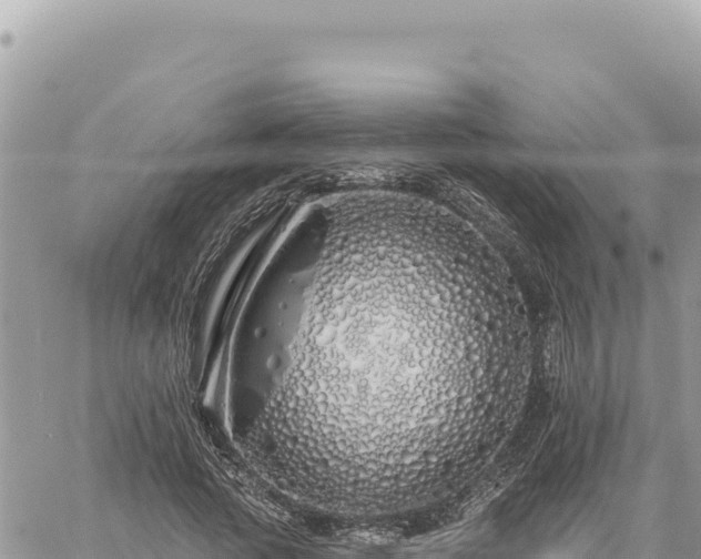 X0000060760737200511171147