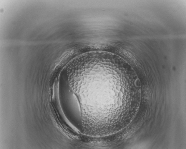 X0000060760738200511171147