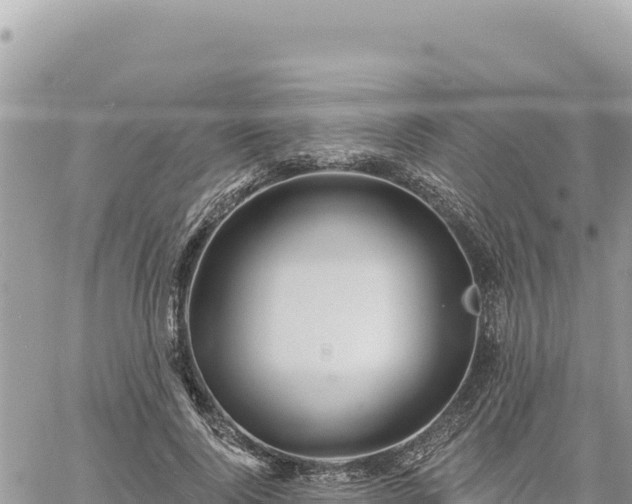 X0000060760740200511171147