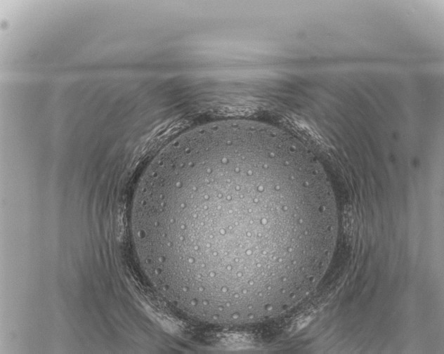 X0000060760741200511171147