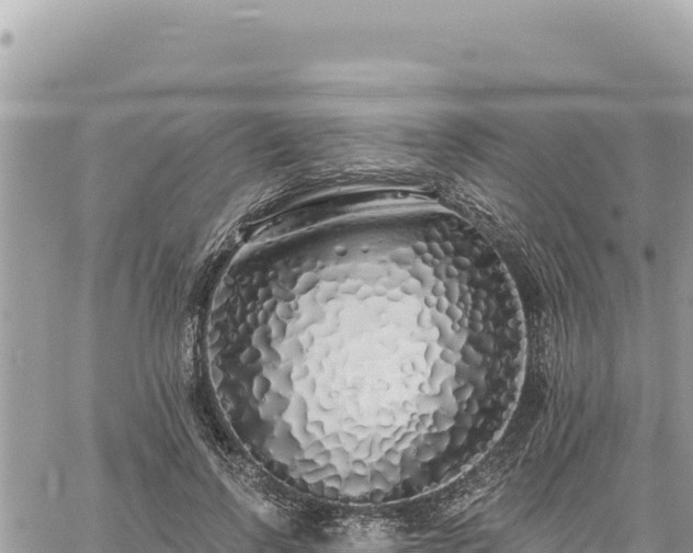 X0000060760742200511171147