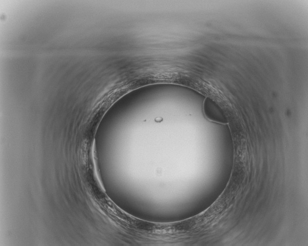 X0000060760744200511171147