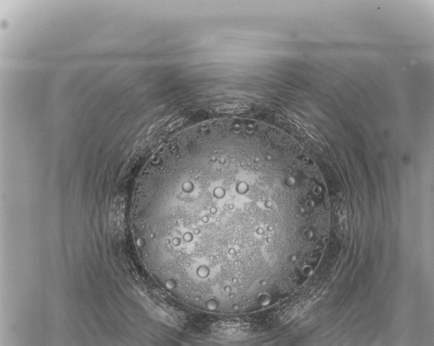 X0000060760745200511171147