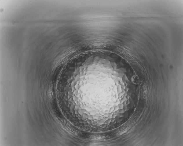 X0000060760746200511171147