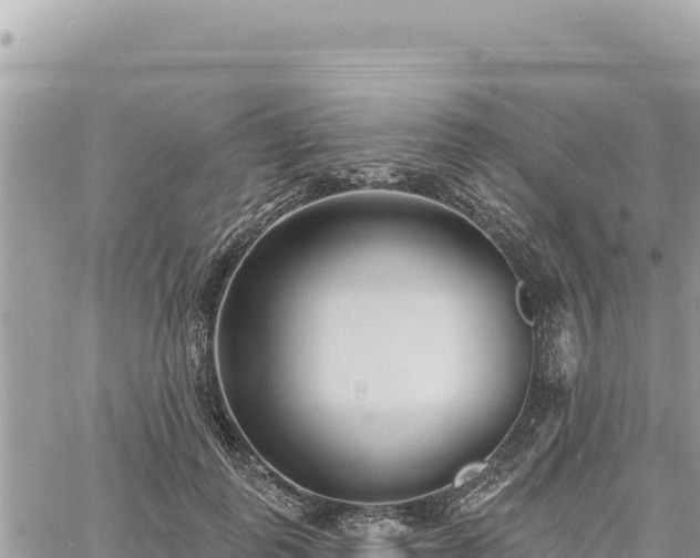 X0000060760747200511171147