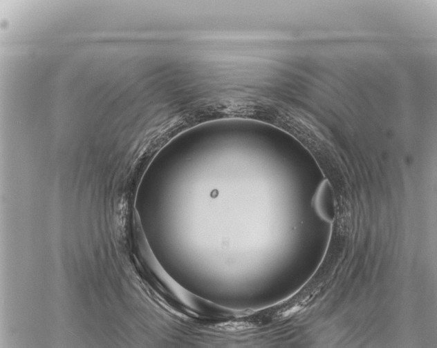 X0000060760748200511171147