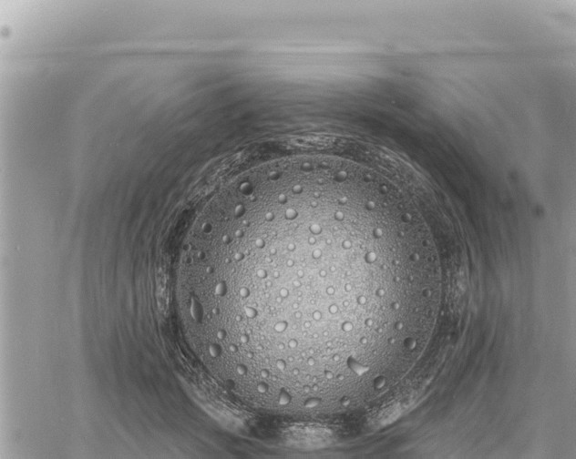 X0000060760749200511171147