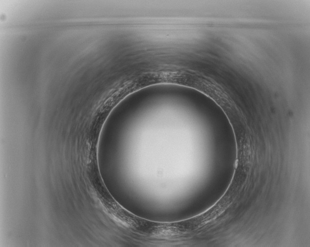 X0000060760750200511171147