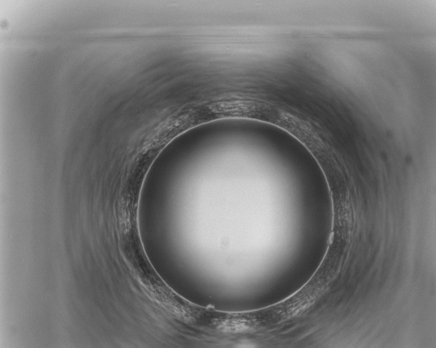 X0000060760751200511171147