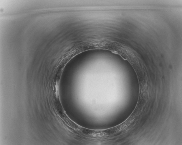 X0000060760752200511171147