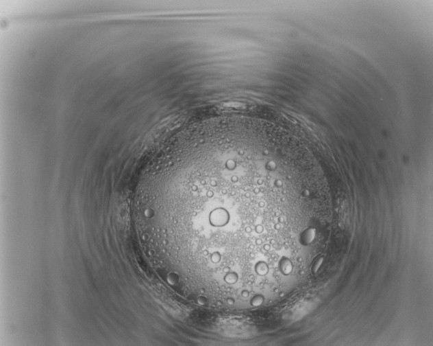 X0000060760753200511171147