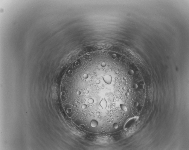 X0000060760757200511171148