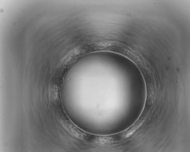 X0000060760758200511171148