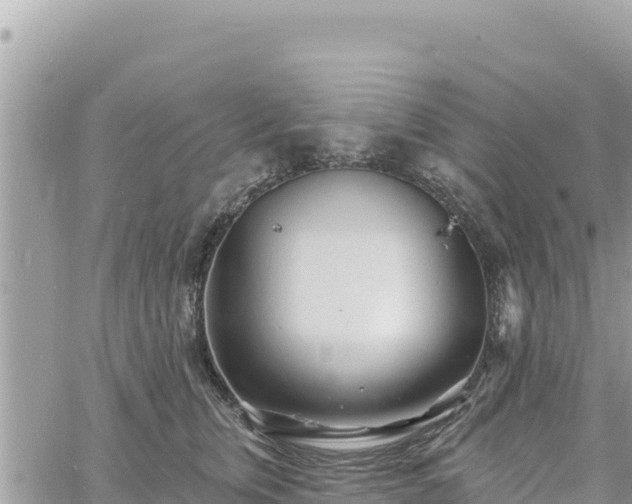 X0000060760759200511171148