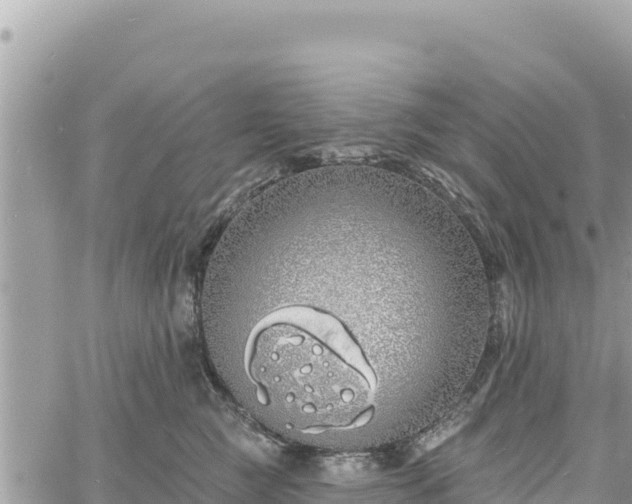 X0000060760761200511171148